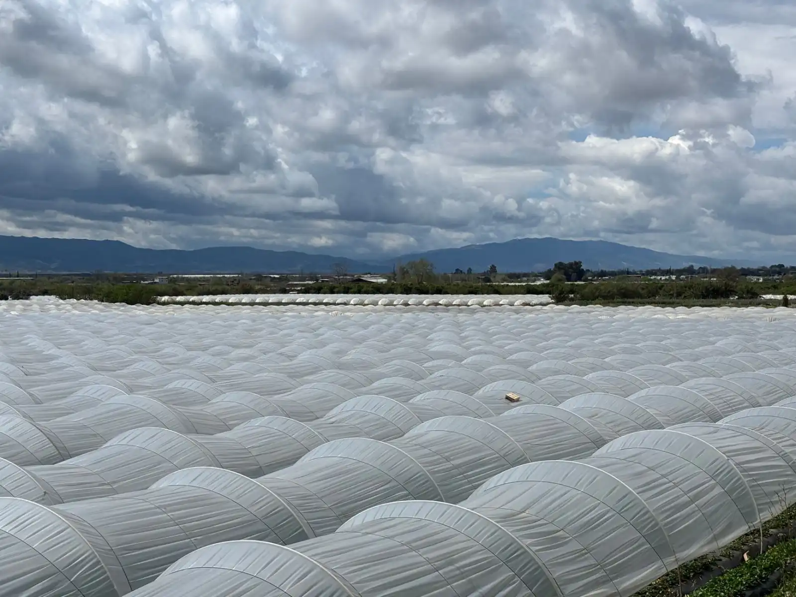 2024年昆山市场挖掘机选购指南与施工效率提升方案